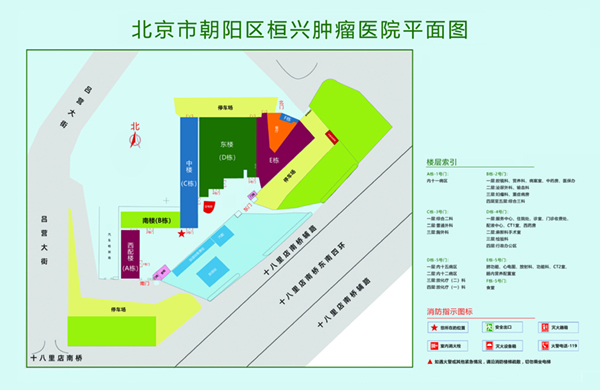 男女操逼的黄色视频北京市朝阳区桓兴肿瘤医院平面图